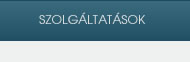 Szolg&aacute;ltat&aacute;saink
